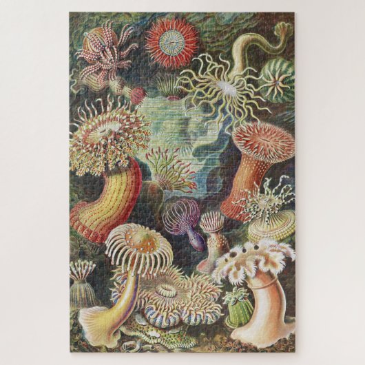 シーアネモネス、Actiniae Seeanemonen Ernst Haeckel ジグソーパズル (縦)