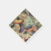 シーアネモネス、Actiniae Seeanemonen Ernst Haeckel スタンダードカクテルナプキン (角)
