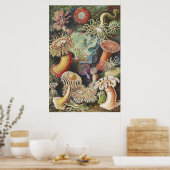シーアネモネス、Actiniae Seeanemonen Ernst Haeckel ポスター (キッチン)