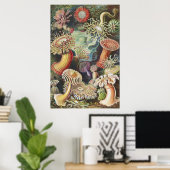 シーアネモネス、Actiniae Seeanemonen Ernst Haeckel ポスター (ホームオフィス)