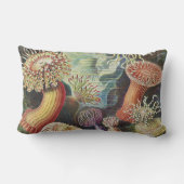 シーアネモネス、Actiniae Seeanemonen Ernst Haeckel ランバークッション (裏面)