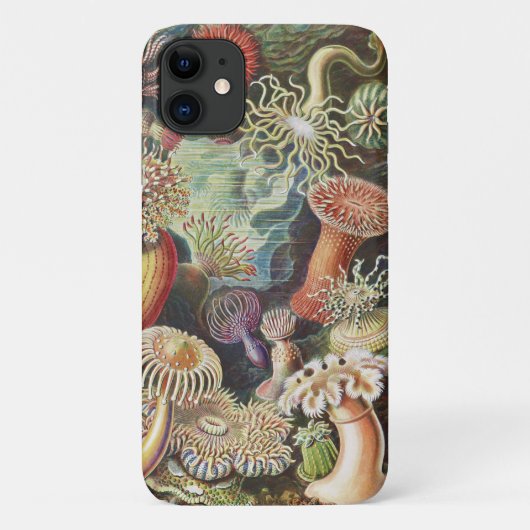 シーアネモネス、Actiniae Seeanemonen Ernst Haeckel Case-Mate iPhoneケース (裏面)