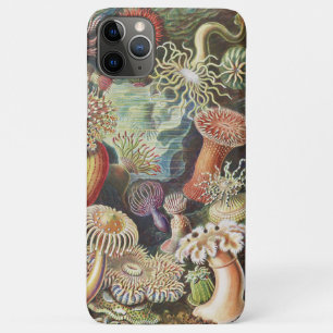 シーアネモネス、Actiniae Seeanemonen Ernst Haeckel iPhone 11 Pro Maxケース