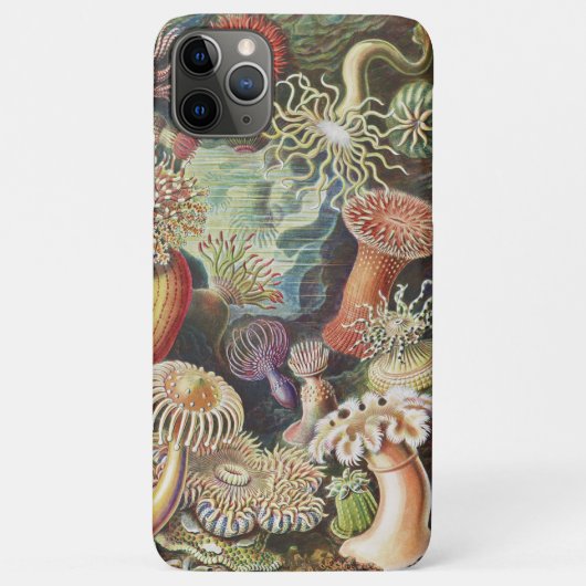 シーアネモネス、Actiniae Seeanemonen Ernst Haeckel Case-Mate iPhoneケース (裏面)