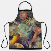 シーアネモネ科学自然海 エプロン (正面)