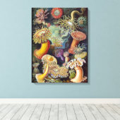 シーアネモネ科学自然海 キャンバスプリント (インサイチュ (ウッドフロア))