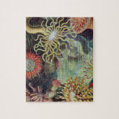 シーアネモネ科学自然海 ジグソーパズル (縦)