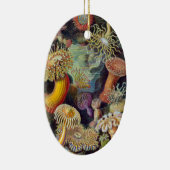 シーアネモネ科学自然海 セラミックオーナメント (右)