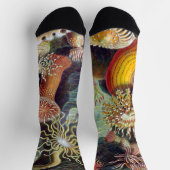 シーアネモネ科学自然海 ソックス (上部)