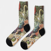 シーアネモネ科学自然海 ソックス (左)