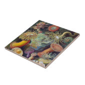 シーアネモネ科学自然海 タイル (側面)