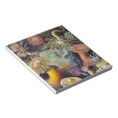 シーアネモネ科学自然海 ノートパッド (アングル)