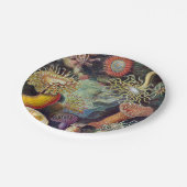 シーアネモネ科学自然海 ペーパープレート (アングル)