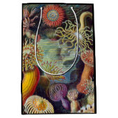 シーアネモネ科学自然海 ミディアムペーパーバッグ (正面)