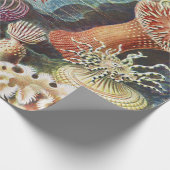 シーアネモネ科学自然海 ラッピングペーパー (角)