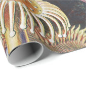 シーアネモネ科学自然海 ラッピングペーパー (ロールコーナー)