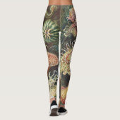 シーアネモネ科学自然海 レギンス (裏面)