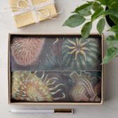 シーアネモネ科学自然海 薄葉紙 (ギフト)