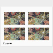 シーアネモネ科学自然海 長方形シール (シート)