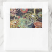 シーアネモネ科学自然海 長方形シール (バッグ)