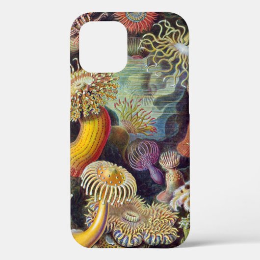 シーアネモネ科学自然海 Case-Mate iPhoneケース (裏面)
