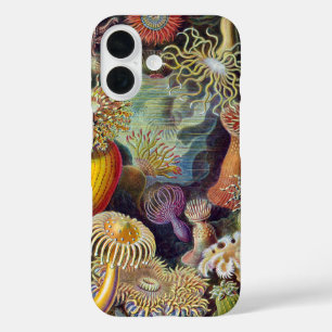 シーアネモネ科学自然海 iPhone 16ケース