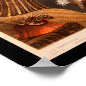 シーアネモンカラーマリンライフプリント ポスター (角)