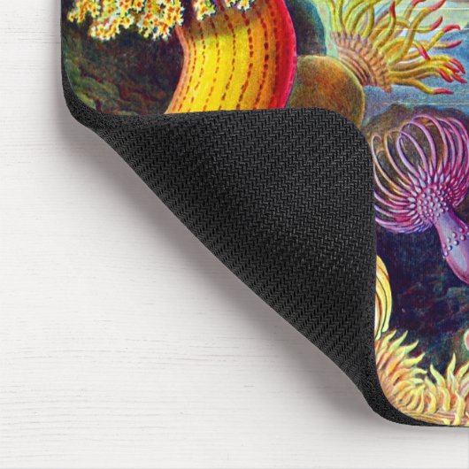 シーアネモントエルンストヘッケルファインアート マウスパッド (コーナー)