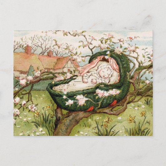 シーアバイバイベビー ポストカード (正面)