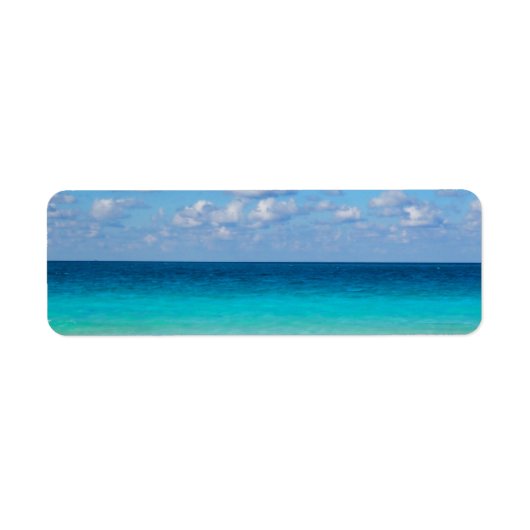 シーア ラベル (正面)