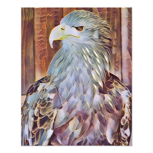 シーイーグル フォトプリント            (正面)