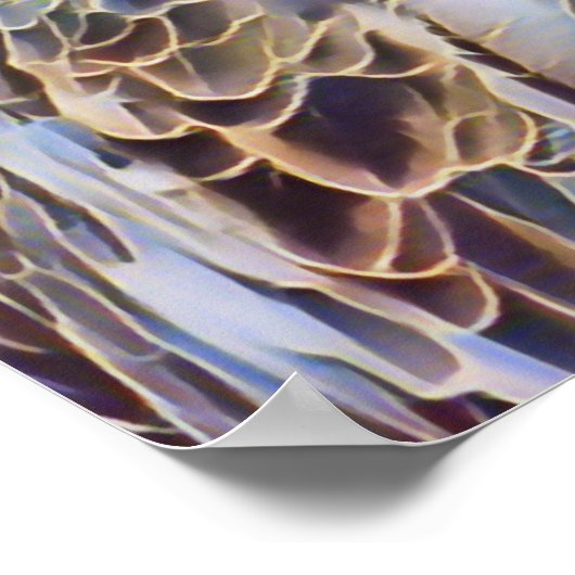 シーイーグル ポスター (角)