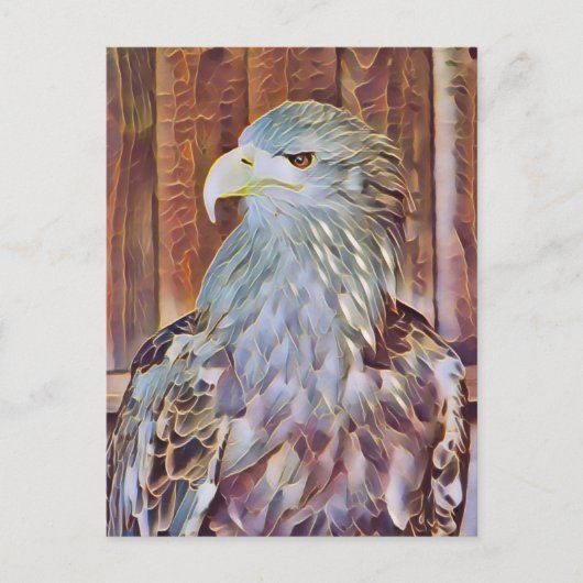シーイーグル ポストカード (正面)