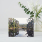 シーウェネガン ポストカード (スタンド正面)