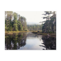 シーウェネガン