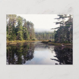 シーウェネガン ポストカード