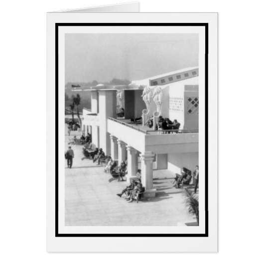 シーウズアットザサラソタリドビーチカジノ (正面)