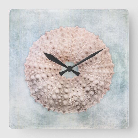 シーウニ動揺してンコースタルブルー絵画クリーム スクエア壁時計 (正面)