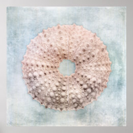 シーウニ動揺してンコースタルブルー絵画クリーム ポスター