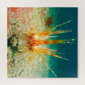 シーウルチンス ジグソーパズル (横)