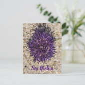 シーウルチン海ビーチホリデーサマーサマースーベリーホテル シーズンポストカード (スタンド正面)