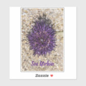 シーウルチン海ビーチホリデーサマーサマースーベリーホテル シール (シート)