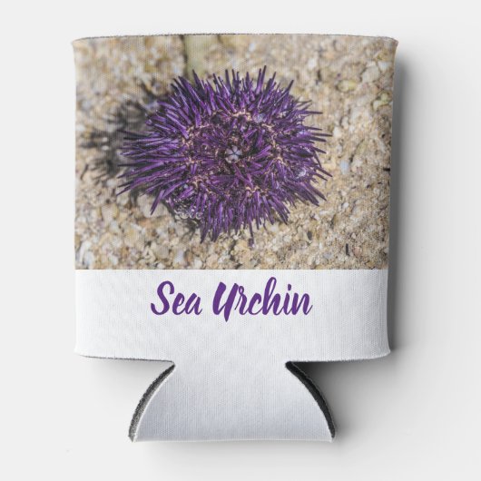 シーウルチン海ビーチホリデーサマーサマースーベリーホテル 缶クーラー (正面)