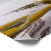 シーオッタズラブカニフォーブレックファースト ポスター (角)