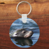 シーオッターキーチェーン キーホルダー (正面)