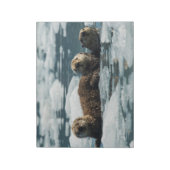 シーオッターファミリー ノートパッド (回転)