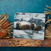 シーオッターファミリー フォトプラーク (側面)