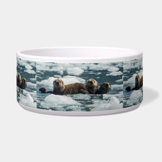 シーオッターファミリー ボウル (正面)