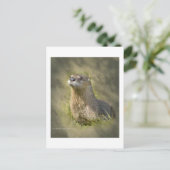 シーオッターポストカード ポストカード (スタンド正面)