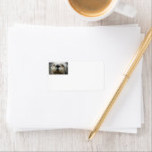 シーオッター顔フォト住所 シール (インサイチュ)